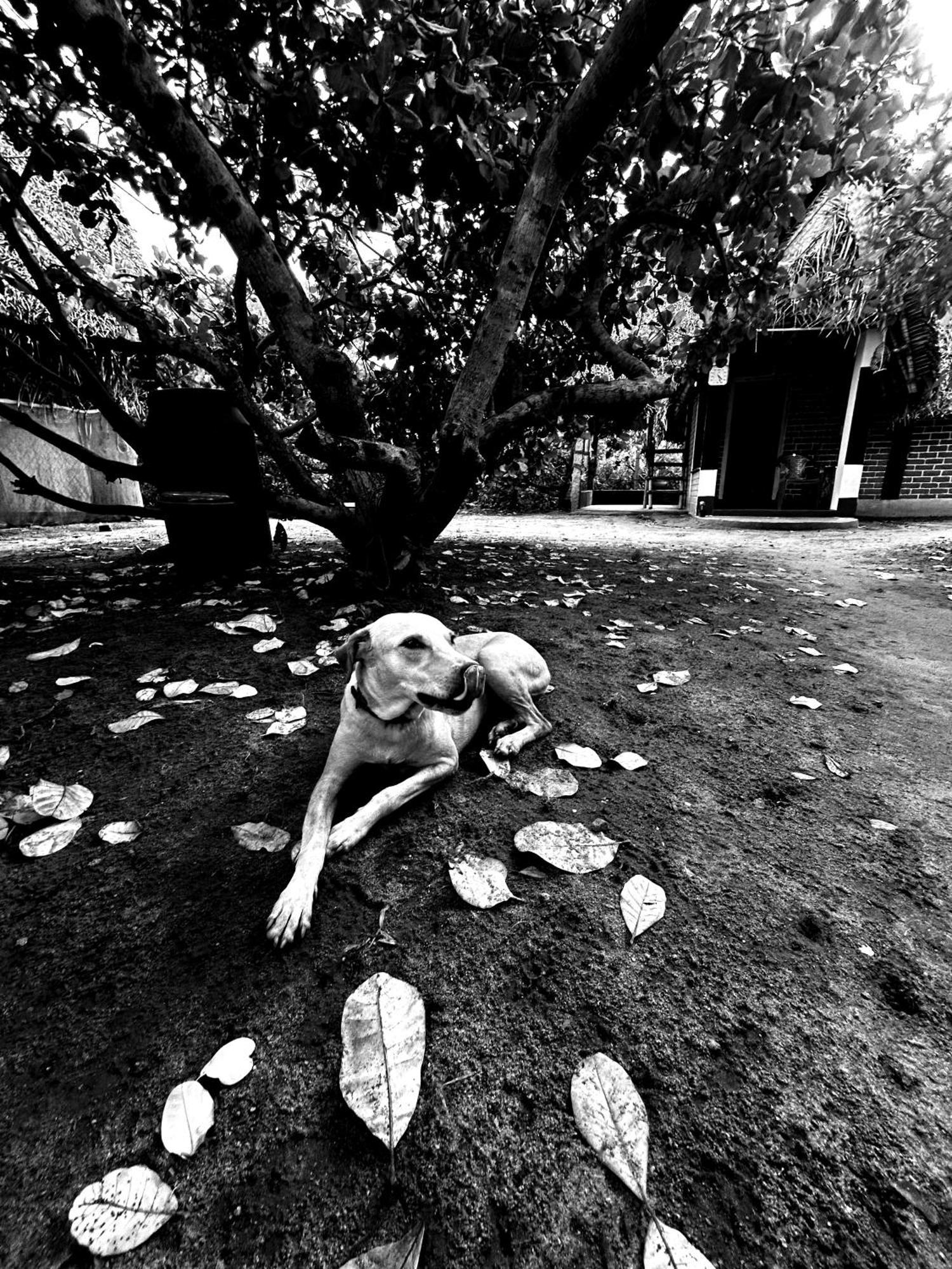 Boomerang Community Оровілль Екстер'єр фото