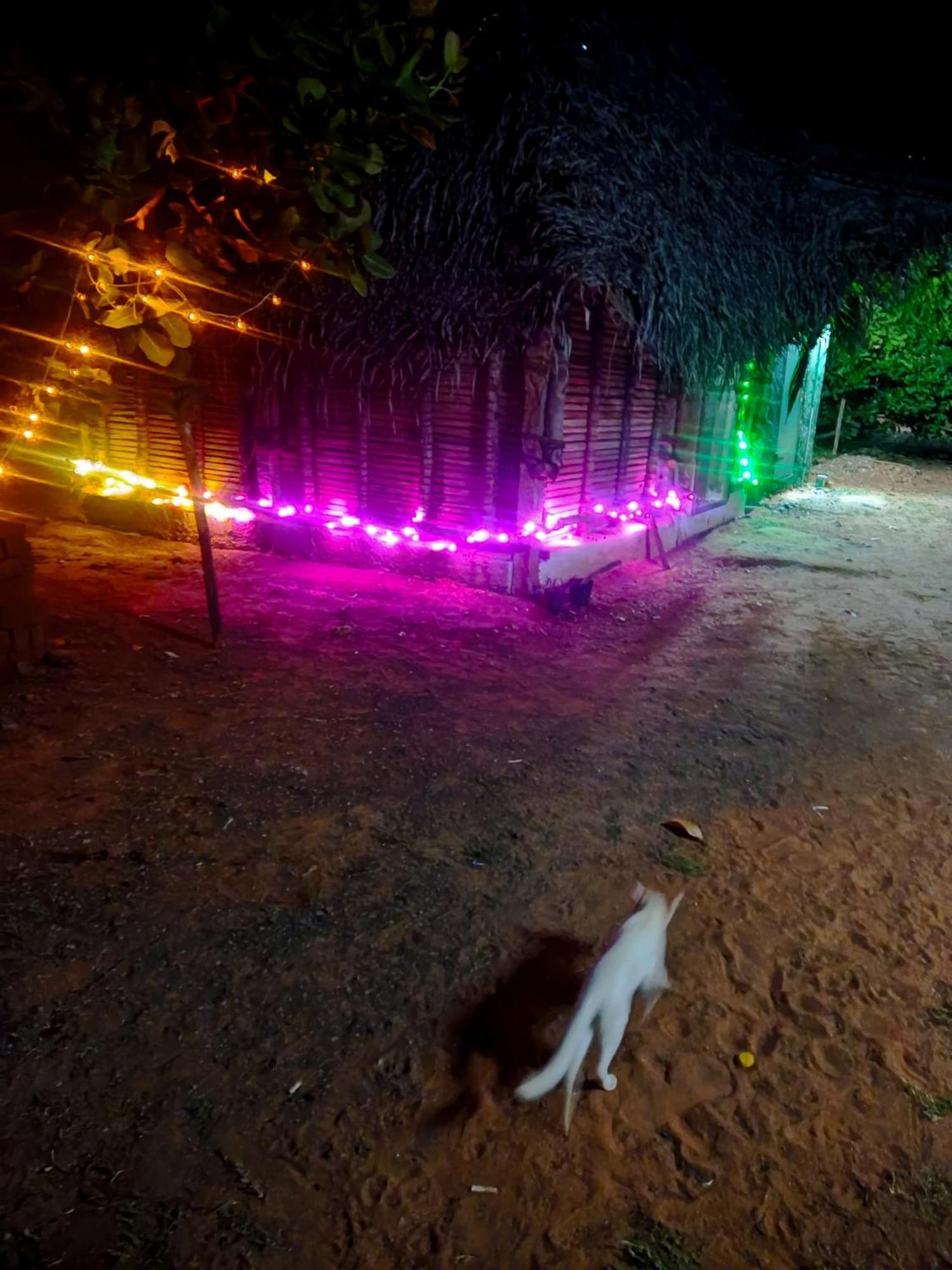 Boomerang Community Оровілль Екстер'єр фото